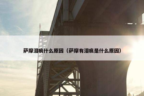 泪痕 第10页
