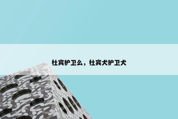 杜宾护卫么，杜宾犬护卫犬