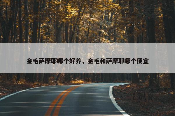 金毛萨摩耶哪个好养，金毛和萨摩耶哪个便宜