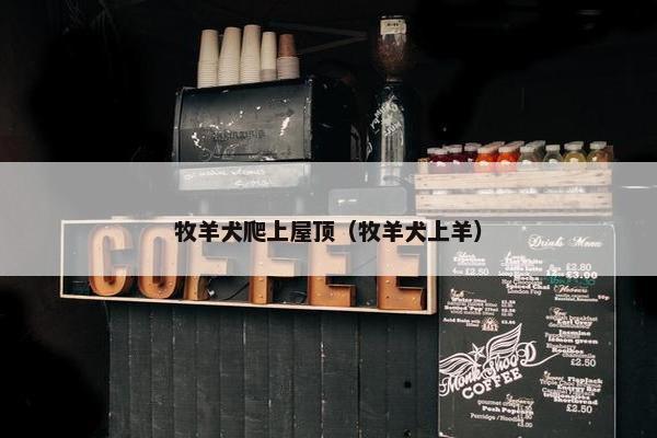 牧羊犬爬上屋顶（牧羊犬上羊）