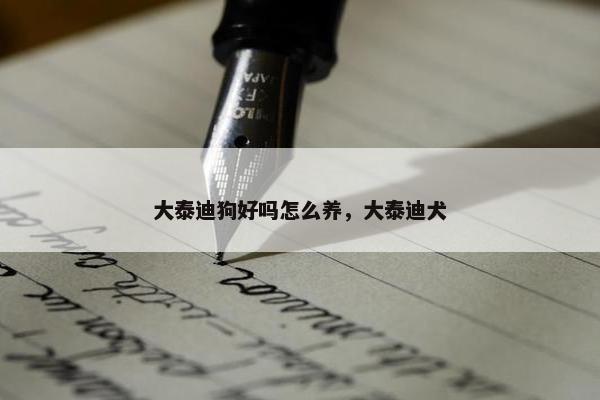 大泰迪狗好吗怎么养，大泰迪犬