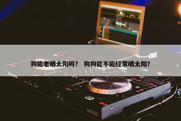 狗能老晒太阳吗？ 狗狗能不能经常晒太阳？