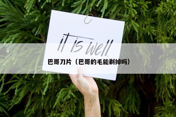巴哥刀片（巴哥的毛能剃掉吗）