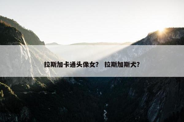 意思