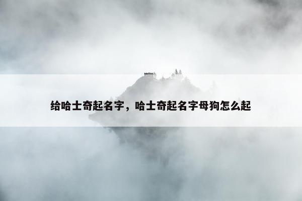 给哈士奇起名字，哈士奇起名字母狗怎么起