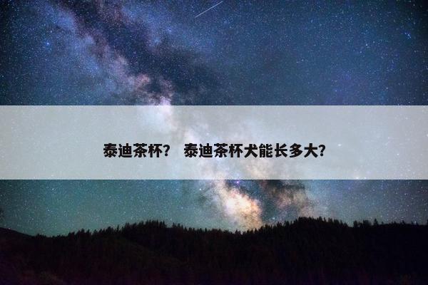 泰迪茶杯？ 泰迪茶杯犬能长多大？