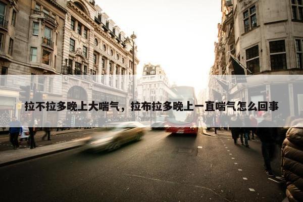 拉不拉多晚上大喘气，拉布拉多晚上一直喘气怎么回事
