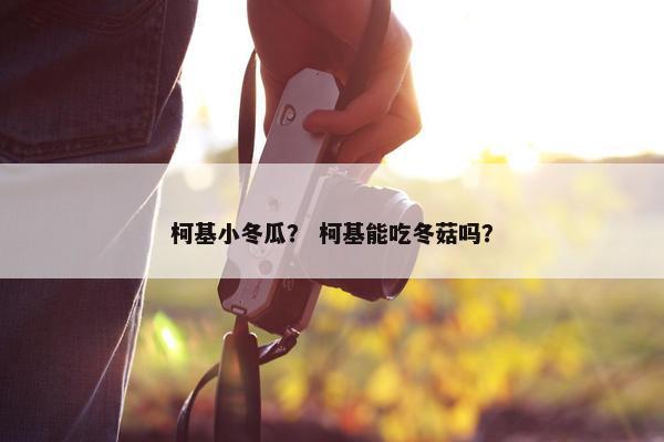 柯基小冬瓜? 柯基能吃冬菇吗?