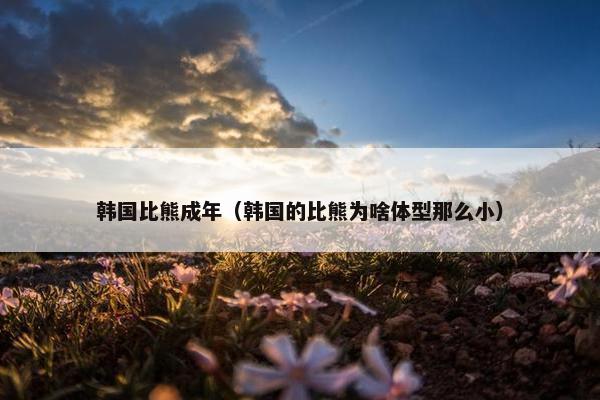 韩国比熊成年（韩国的比熊为啥体型那么小）