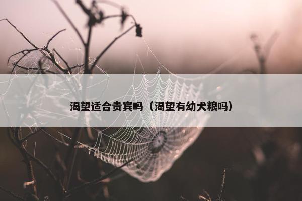 配方