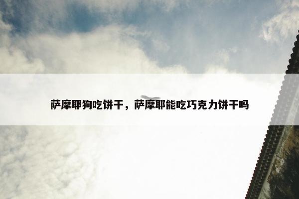 萨摩耶狗吃饼干，萨摩耶能吃巧克力饼干吗