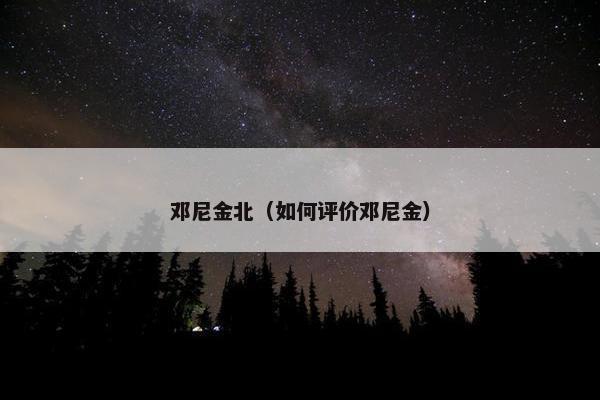 邓尼金北（如何评价邓尼金）
