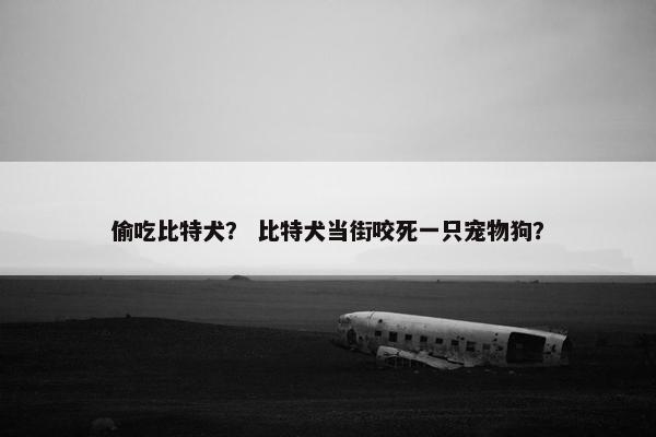 偷吃比特犬？ 比特犬当街咬死一只宠物狗？