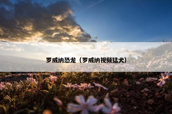 罗威纳恐龙（罗威纳视频猛犬）