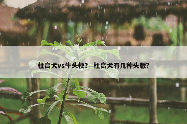 杜高犬vs牛头梗？ 杜高犬有几种头版？