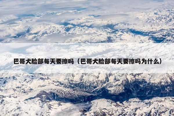巴哥犬脸部每天要擦吗（巴哥犬脸部每天要擦吗为什么）