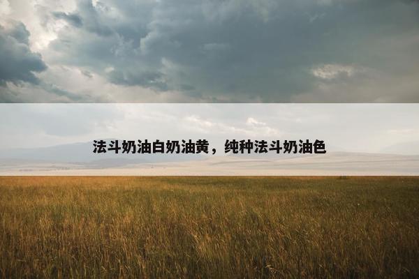 法斗奶油白奶油黄，纯种法斗奶油色