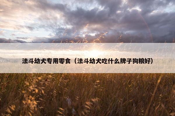 法斗幼犬专用零食（法斗幼犬吃什么牌子狗粮好）