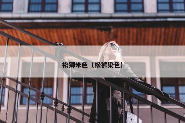 松狮米色（松狮染色）