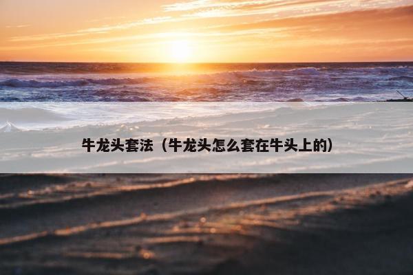 牛龙头套法（牛龙头怎么套在牛头上的）
