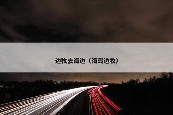 边牧去海边（海岛边牧）
