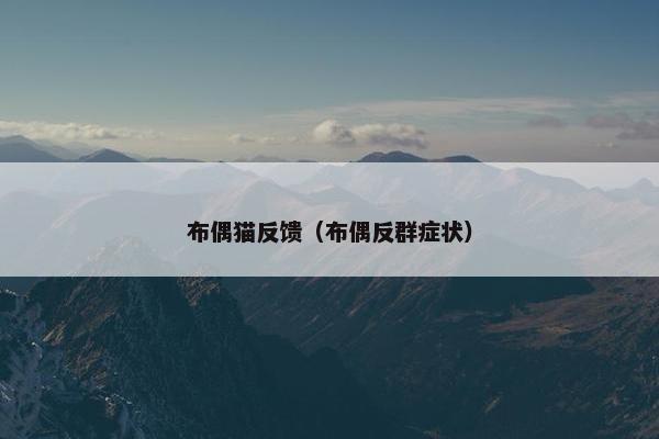 布偶猫反馈（布偶反群症状）