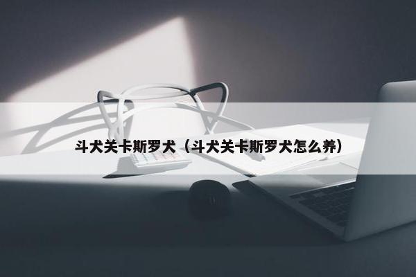 斗犬关卡斯罗犬（斗犬关卡斯罗犬怎么养）