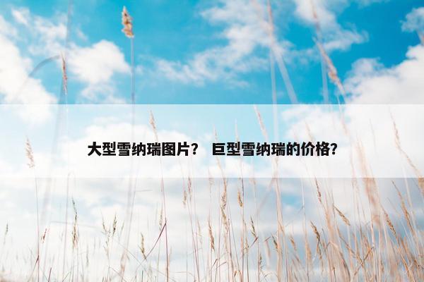 大型雪纳瑞图片？ 巨型雪纳瑞的价格？