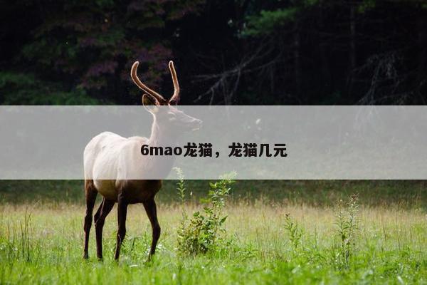 6mao龙猫，龙猫几元