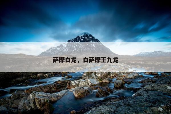萨摩白龙，白萨摩王九龙