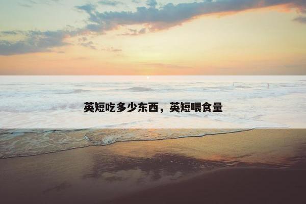 英短吃多少东西，英短喂食量