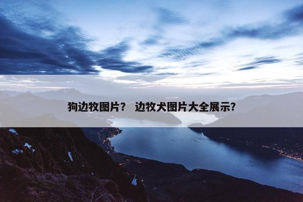 狗边牧图片？ 边牧犬图片大全展示？