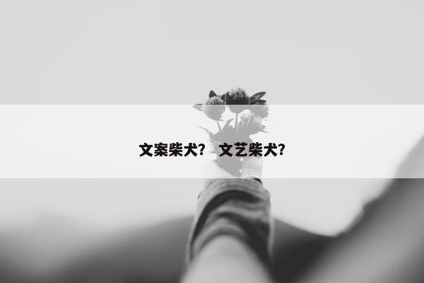 文案柴犬？ 文艺柴犬？