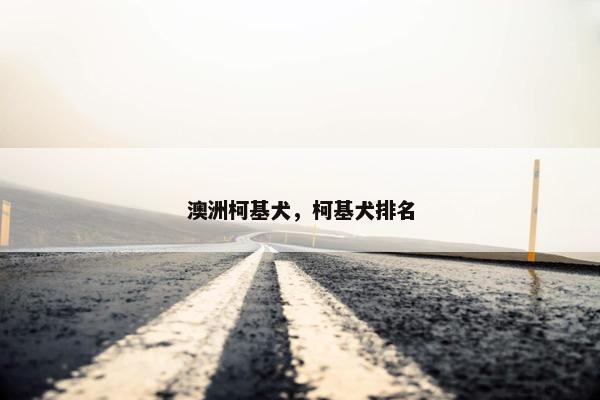 澳洲柯基犬，柯基犬排名