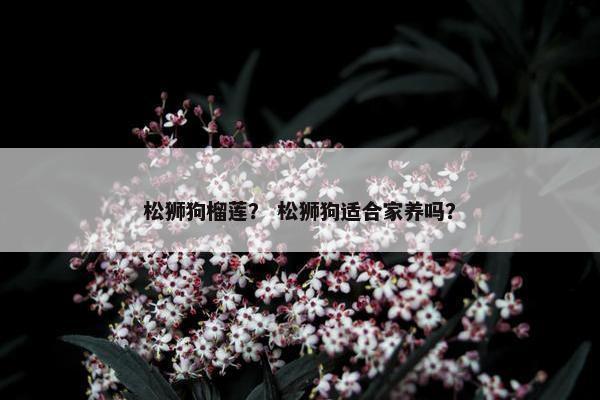 松狮狗榴莲？ 松狮狗适合家养吗？