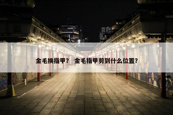 金毛换指甲? 金毛指甲剪到什么位置?