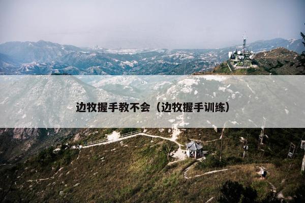边牧握手教不会（边牧握手训练）