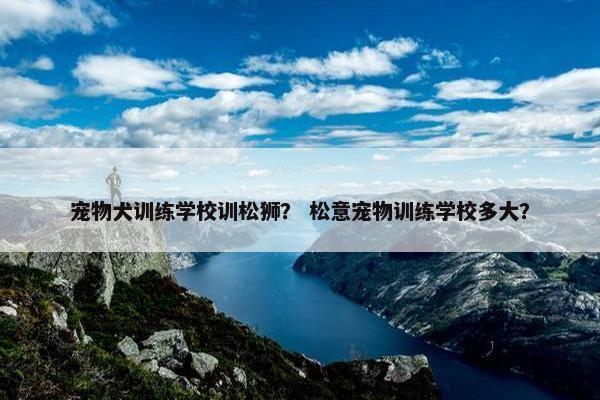 宠物犬训练学校训松狮？ 松意宠物训练学校多大？