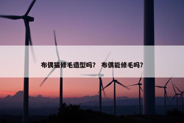 布偶猫修毛造型吗？ 布偶能修毛吗？