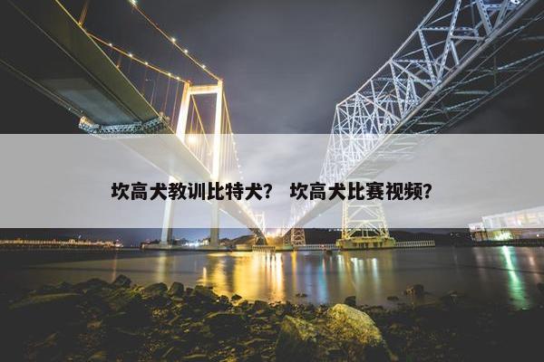 利顿