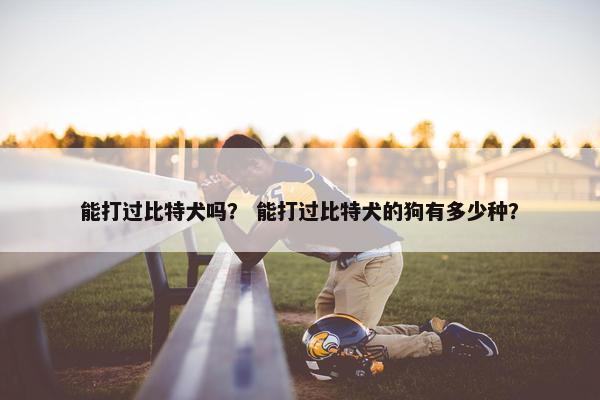 能打过比特犬吗？ 能打过比特犬的狗有多少种？