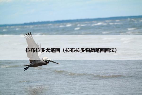 智慧