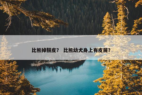 比熊掉麸皮？ 比熊幼犬身上有皮屑？