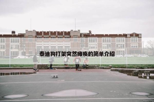 泰迪狗打架突然瘫痪的简单介绍