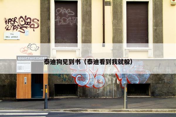泰迪狗见到书（泰迪看到我就躲）