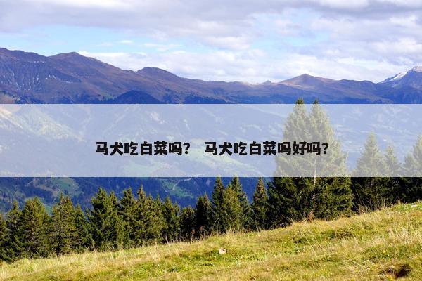 马犬吃白菜吗？ 马犬吃白菜吗好吗？