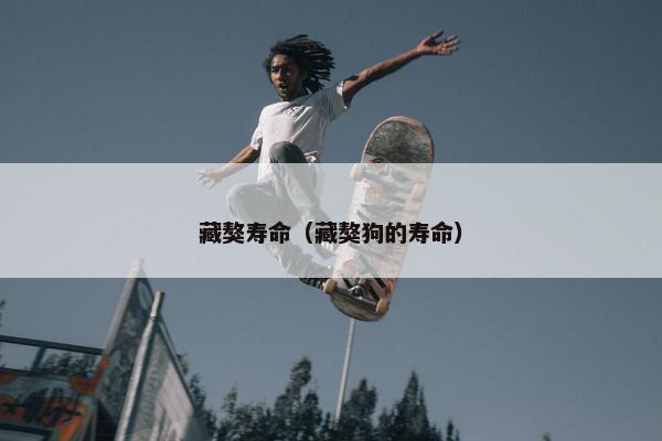 藏獒寿命（藏獒狗的寿命）