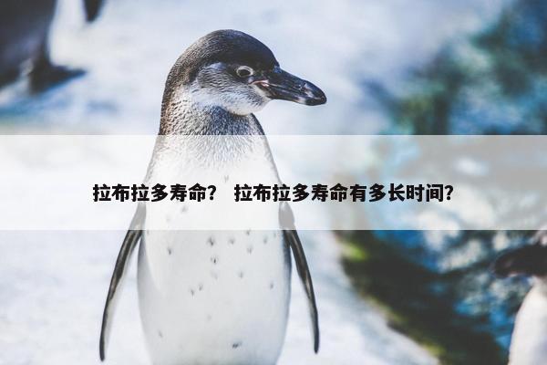 快速