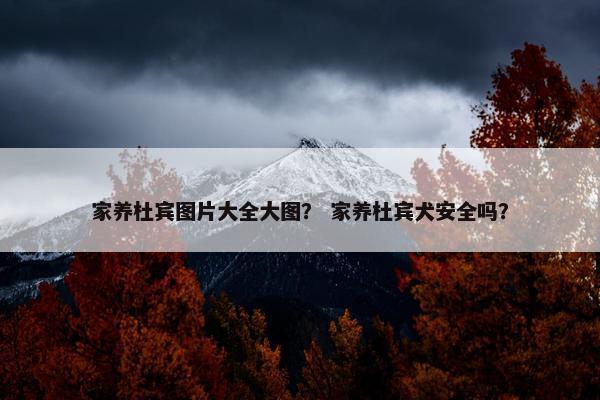 家养杜宾图片大全大图？ 家养杜宾犬安全吗？