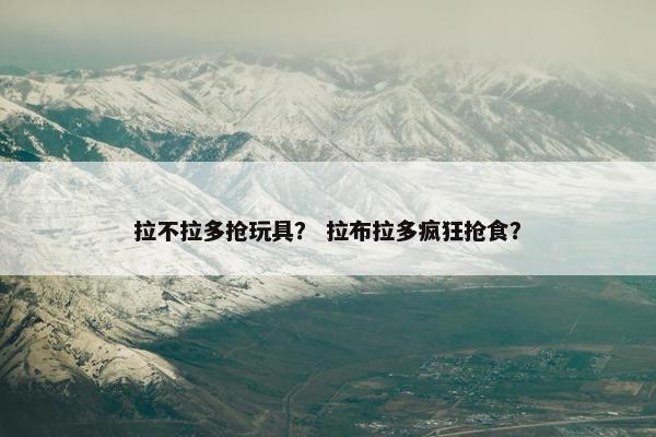 拉不拉多抢玩具？ 拉布拉多疯狂抢食？